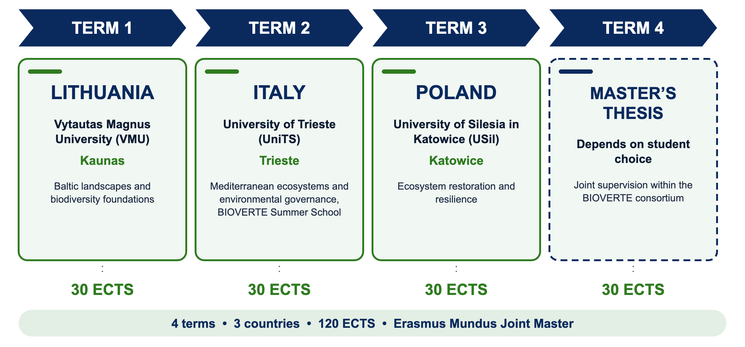 BIOVERTE mobility scheme. Term 1: Vytautas Magnus University, Kaunas, Lithuania. Term 2: University of Trieste, Italy, including the BIOVERTE Summer School. Term 3: University of Silesia in Katowice, Poland. Term 4: Master’s thesis, depending on student choice. Each term is 30 ECTS, 120 ECTS in total.
